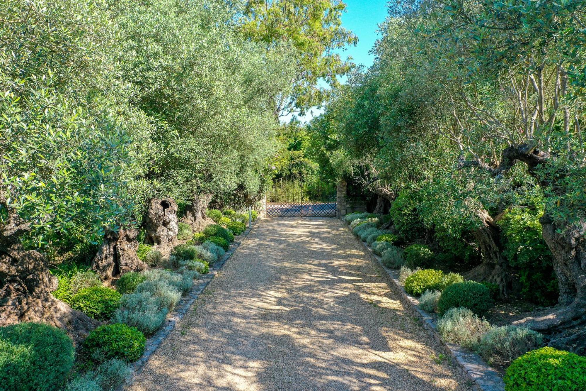 Domaine Les Mésanges Hotel Saint-Tropez Exterior foto