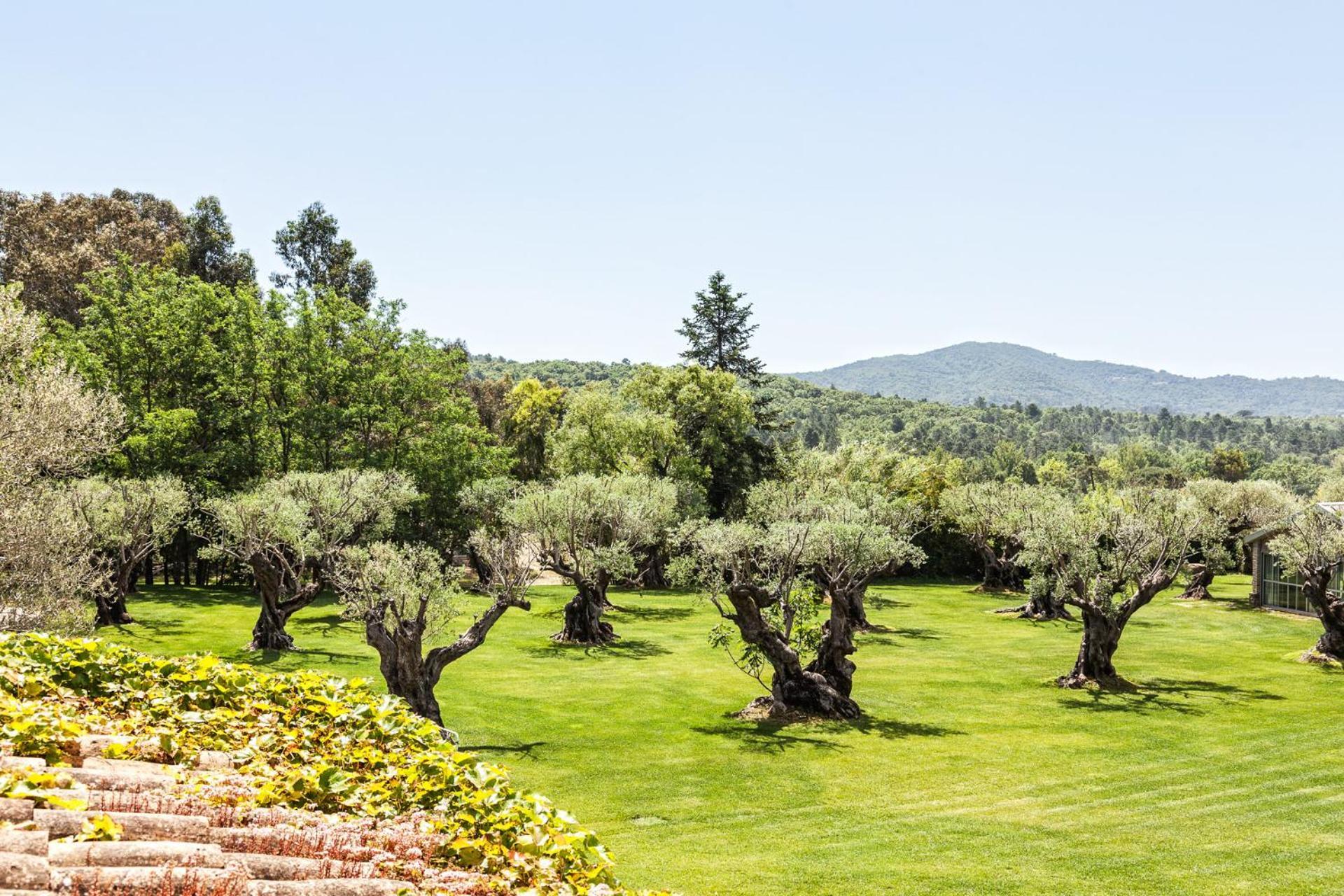 Domaine Les Mésanges Hotel Saint-Tropez Exterior foto